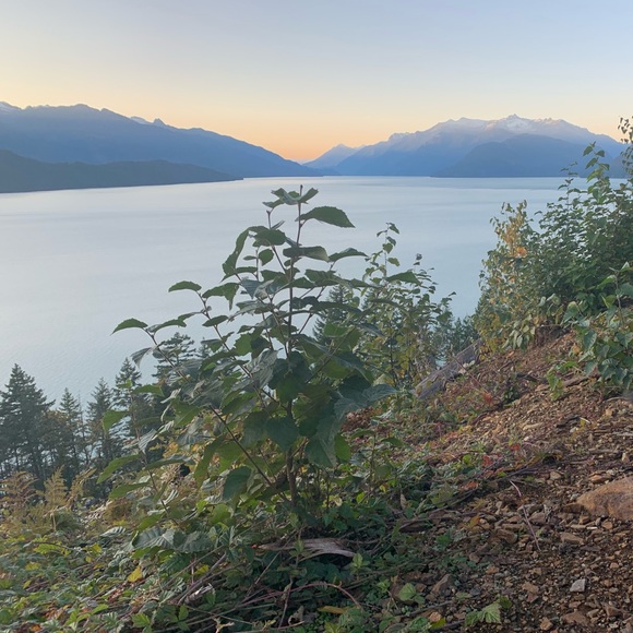 Meet your Posher, Kaitlyn - Picture 1 of 1